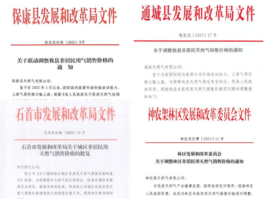 天然氣銷售公司四家城燃非居民氣價順導文件